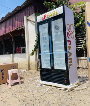 Fast Chilling Pearl PVC-622 2 Door Display Fridge 