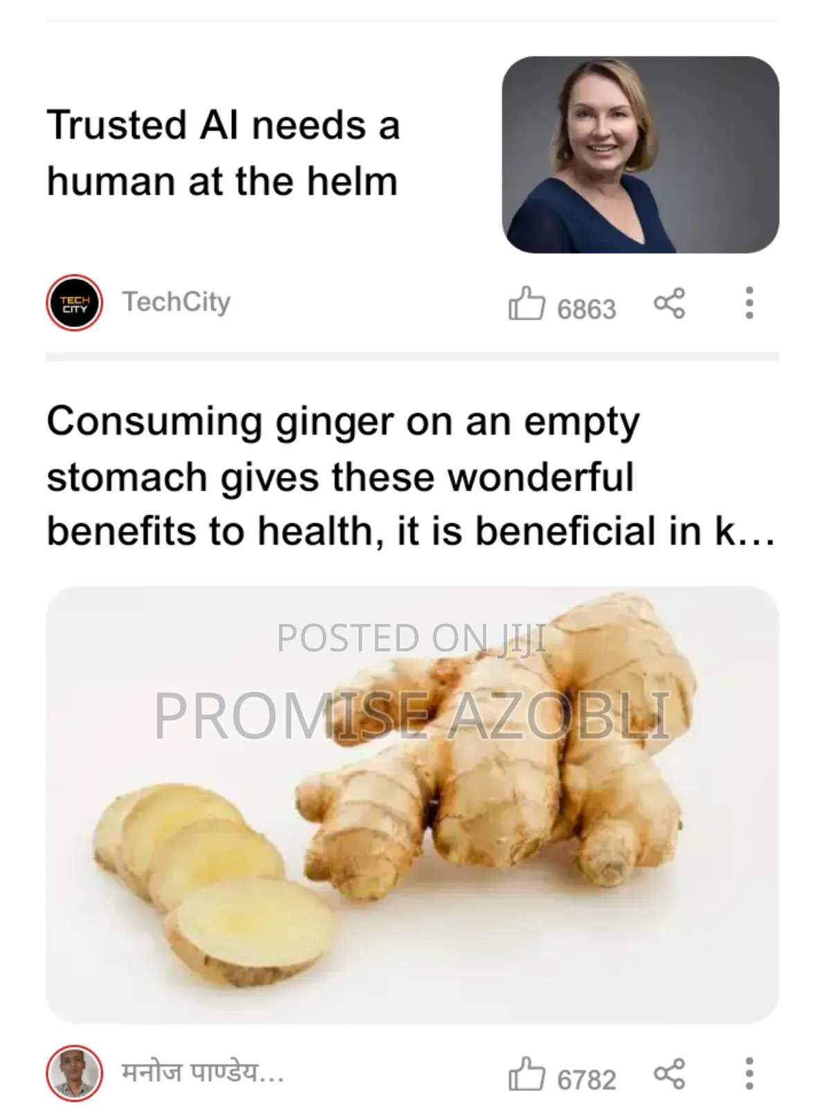 Tiger Nut and Ginger Powder