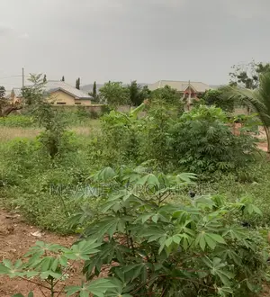 2 Plots at Oyarifa Tipper Junction, Per Plot, Titled