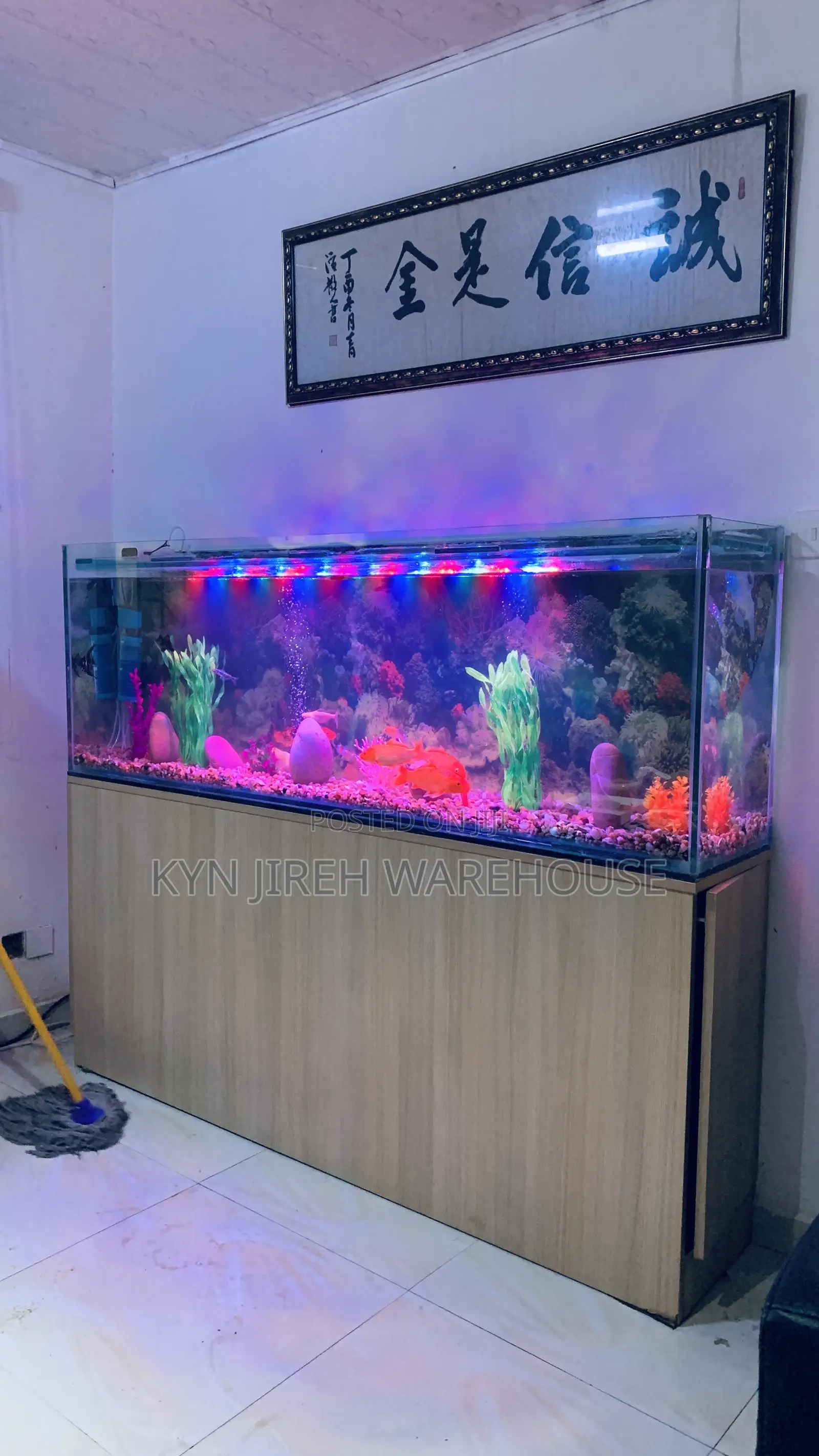 Chinese Aquarium With 15 Fishes