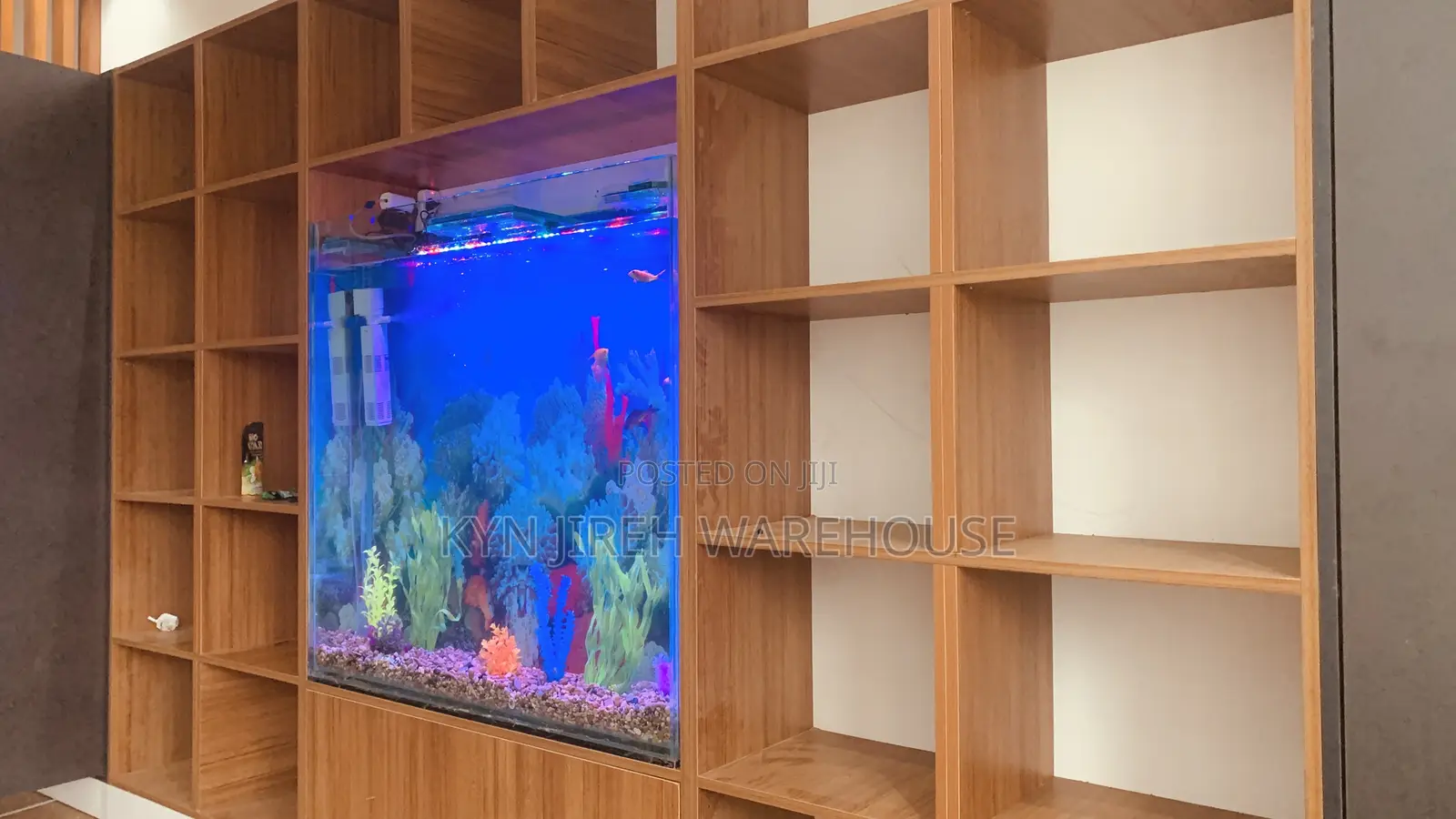 Shelves Aquarium With 15 Fishes
