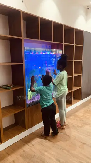 Shelves Aquarium With 15 Fishes