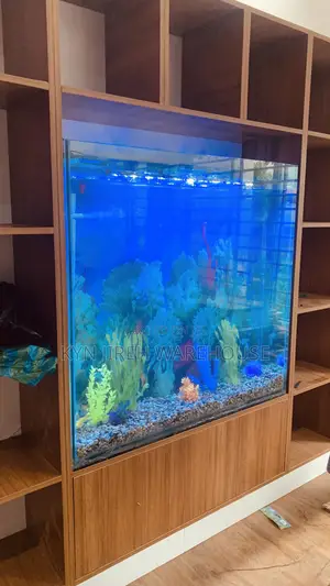 Shelves Aquarium With 15 Fishes