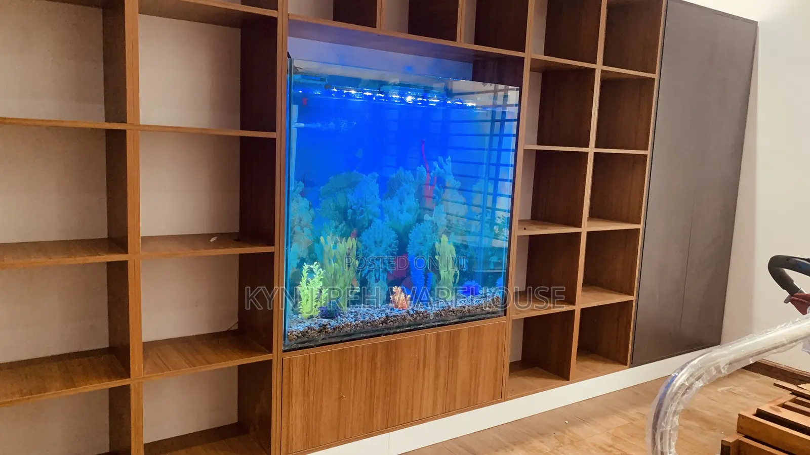 Shelves Aquarium With 15 Fishes