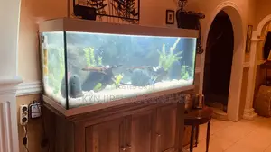 Aqua Man Aquarium With 15 Fishes