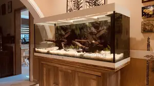Aqua Man Aquarium With 15 Fishes