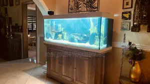 Aqua Man Aquarium With 15 Fishes