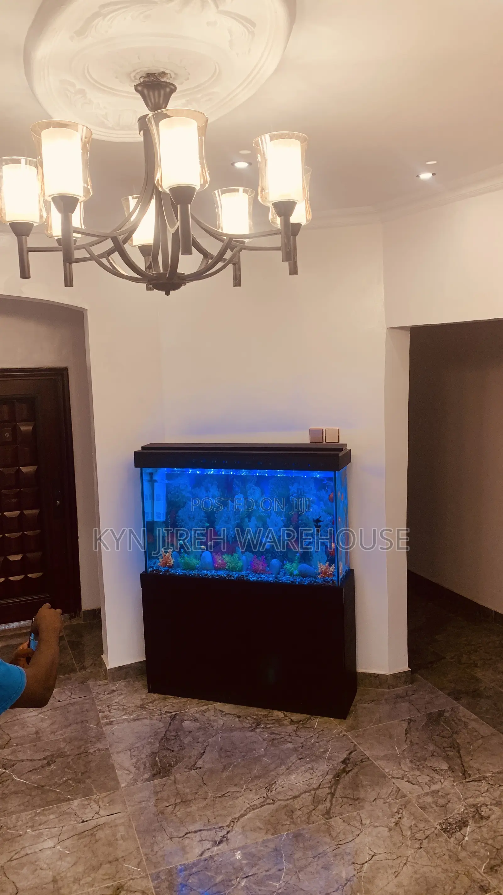 Sea Blue Aquarium With 10 Fishes