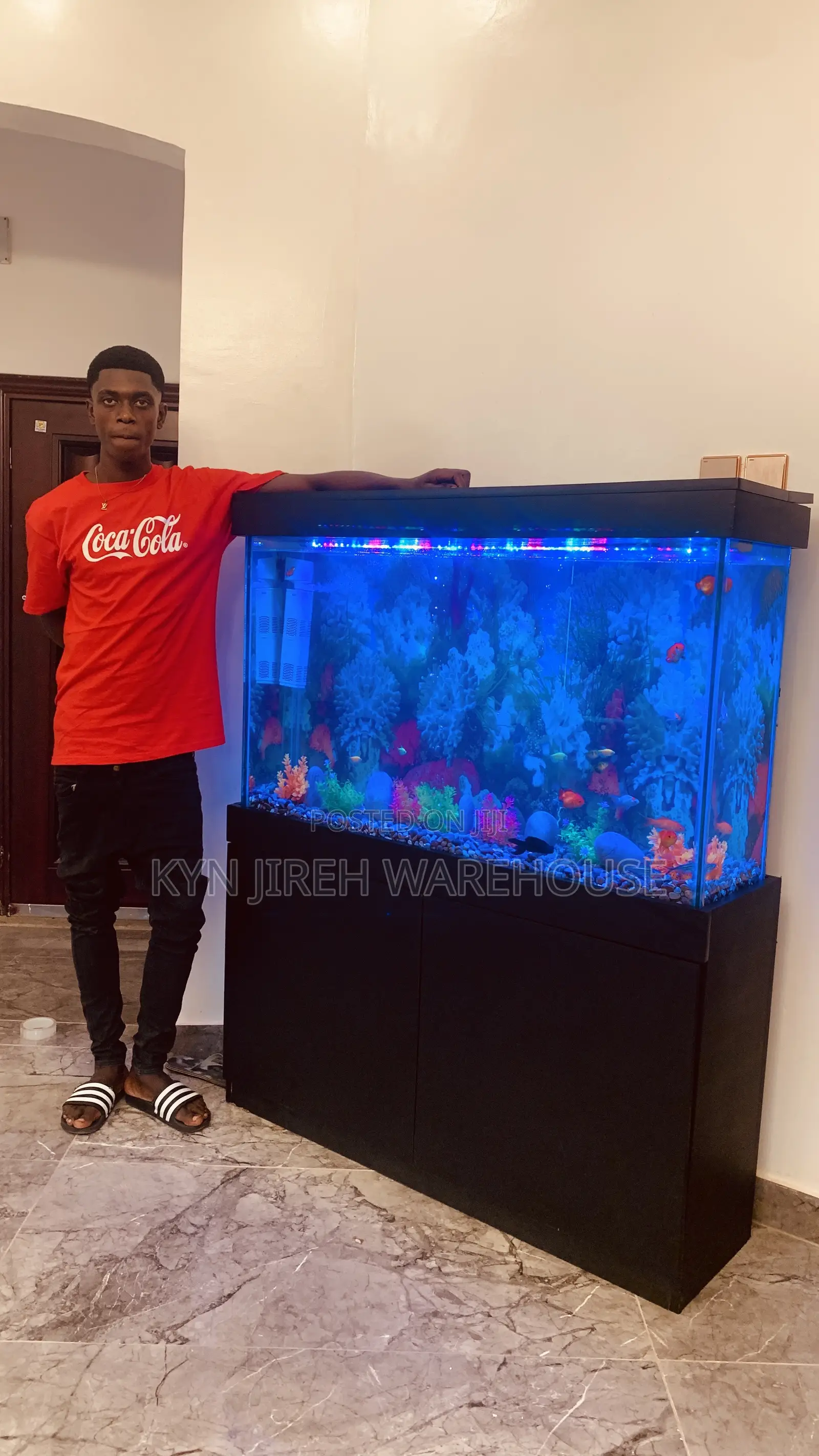 Sea Blue Aquarium With 10 Fishes