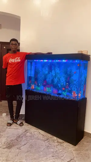 Sea Blue Aquarium With 10 Fishes