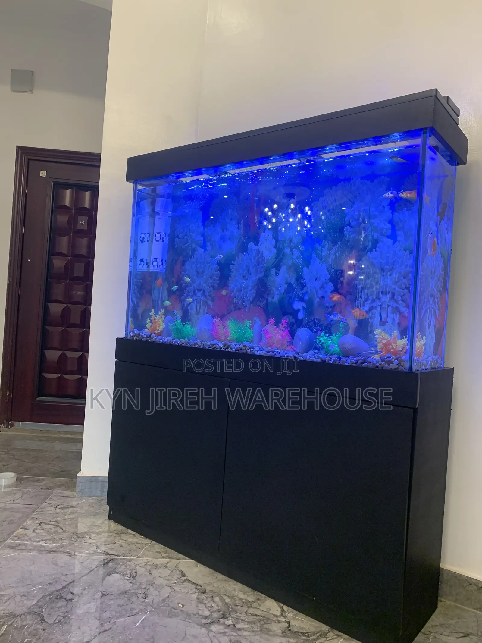 Sea Blue Aquarium With 10 Fishes