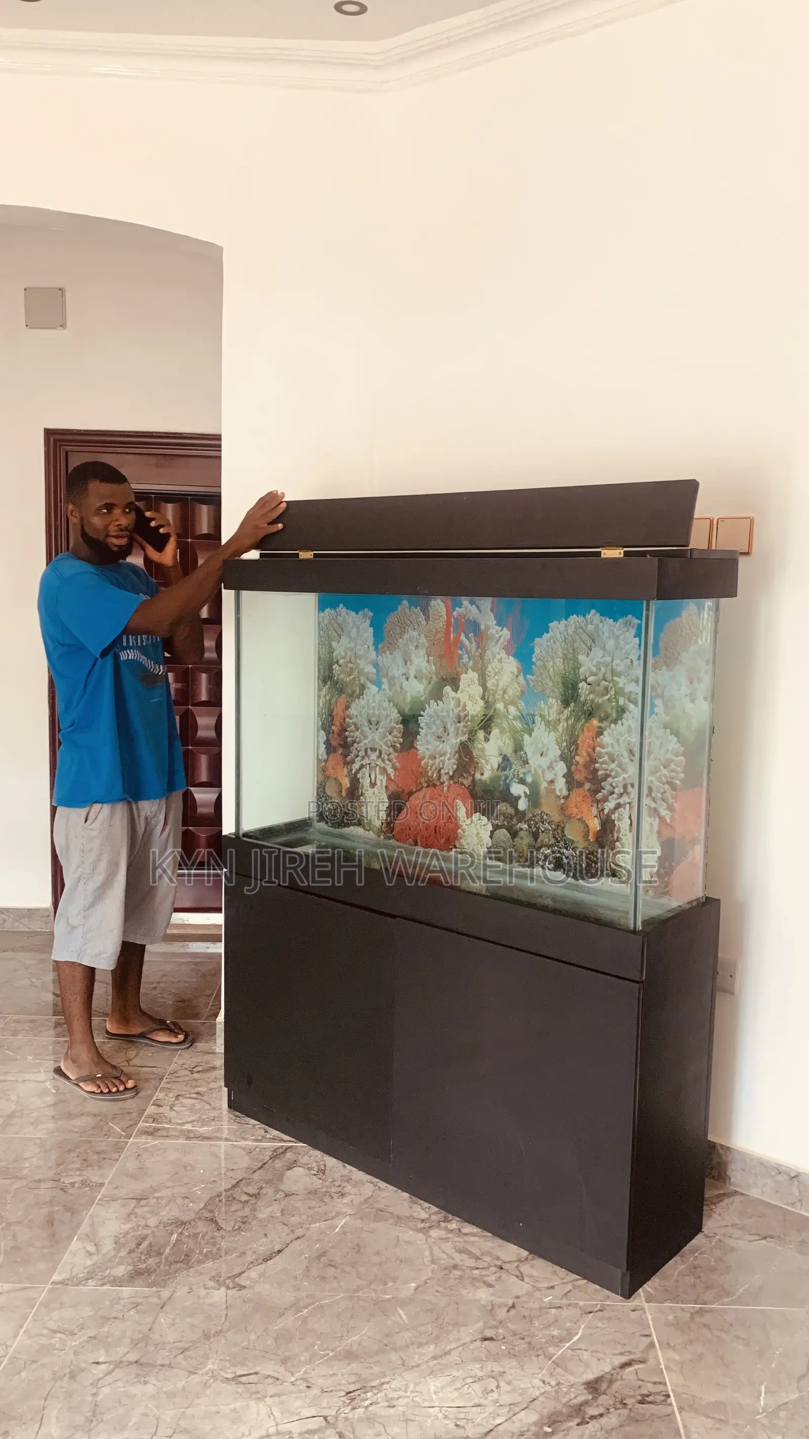 Sea Blue Aquarium With 10 Fishes