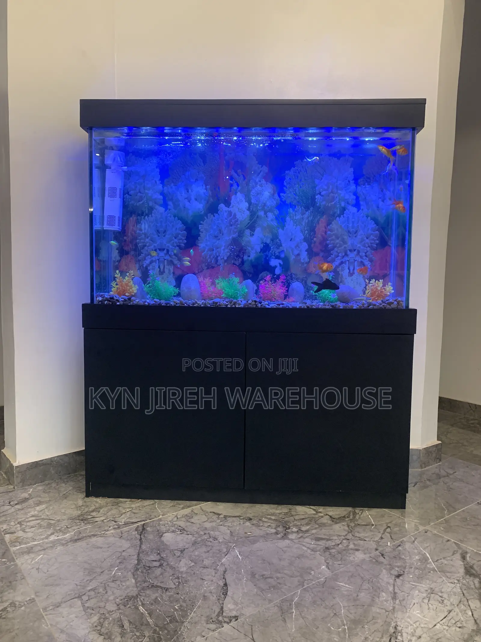 Sea Blue Aquarium With 10 Fishes