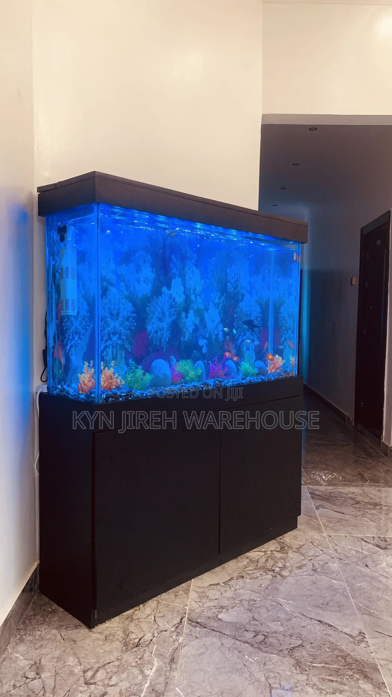 Sea Blue Aquarium With 10 Fishes