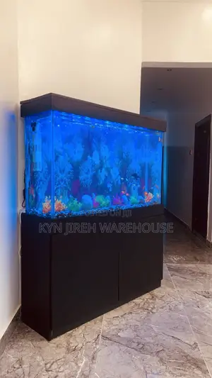 Sea Blue Aquarium With 10 Fishes