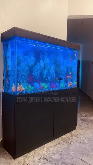 Sea Blue Aquarium With 10 Fishes