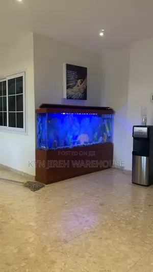 Apostle Aquarium With 15 Fishes