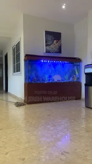 Apostle Aquarium With 15 Fishes