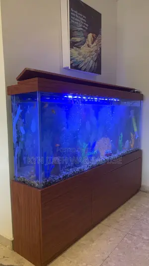 Apostle Aquarium With 15 Fishes