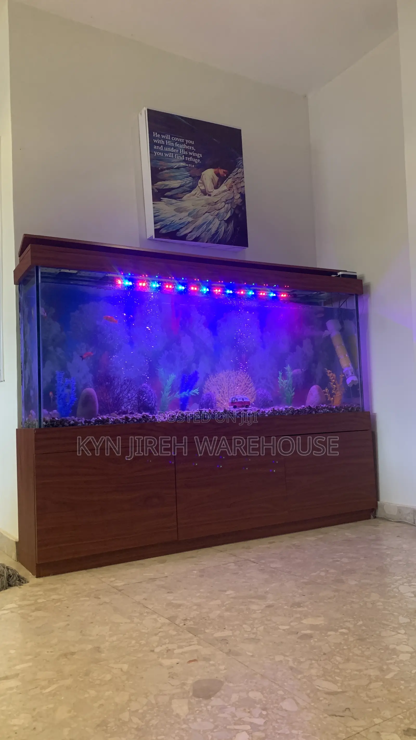 Apostle Aquarium With 15 Fishes