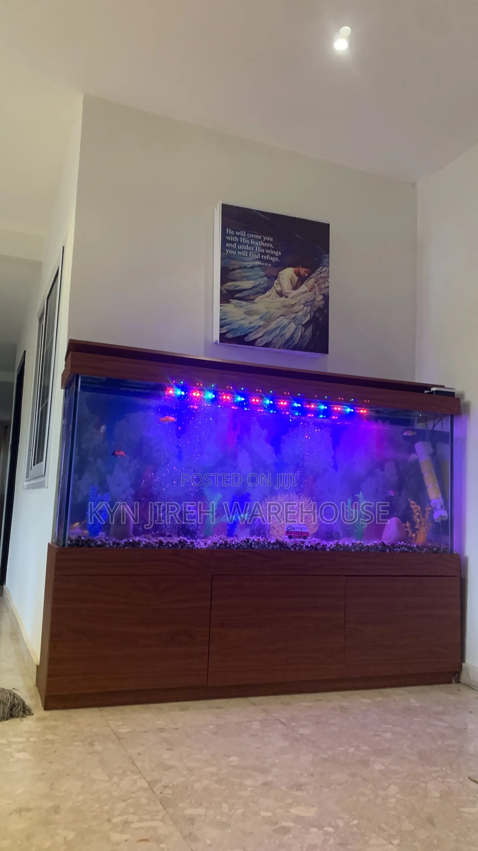 Apostle Aquarium With 15 Fishes