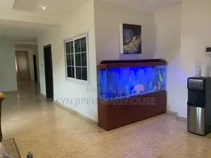 Apostle Aquarium With 15 Fishes