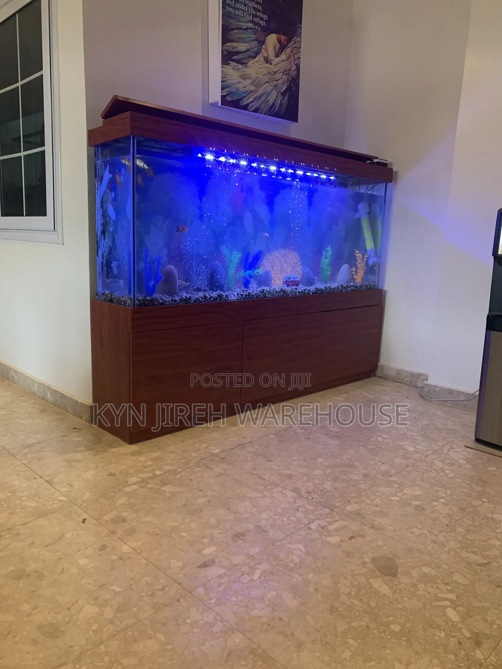 Apostle Aquarium With 15 Fishes