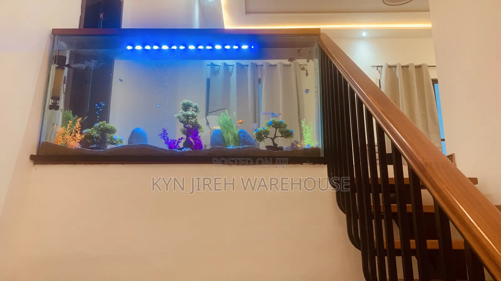 Staircase View Aquarium With 15 Fishes