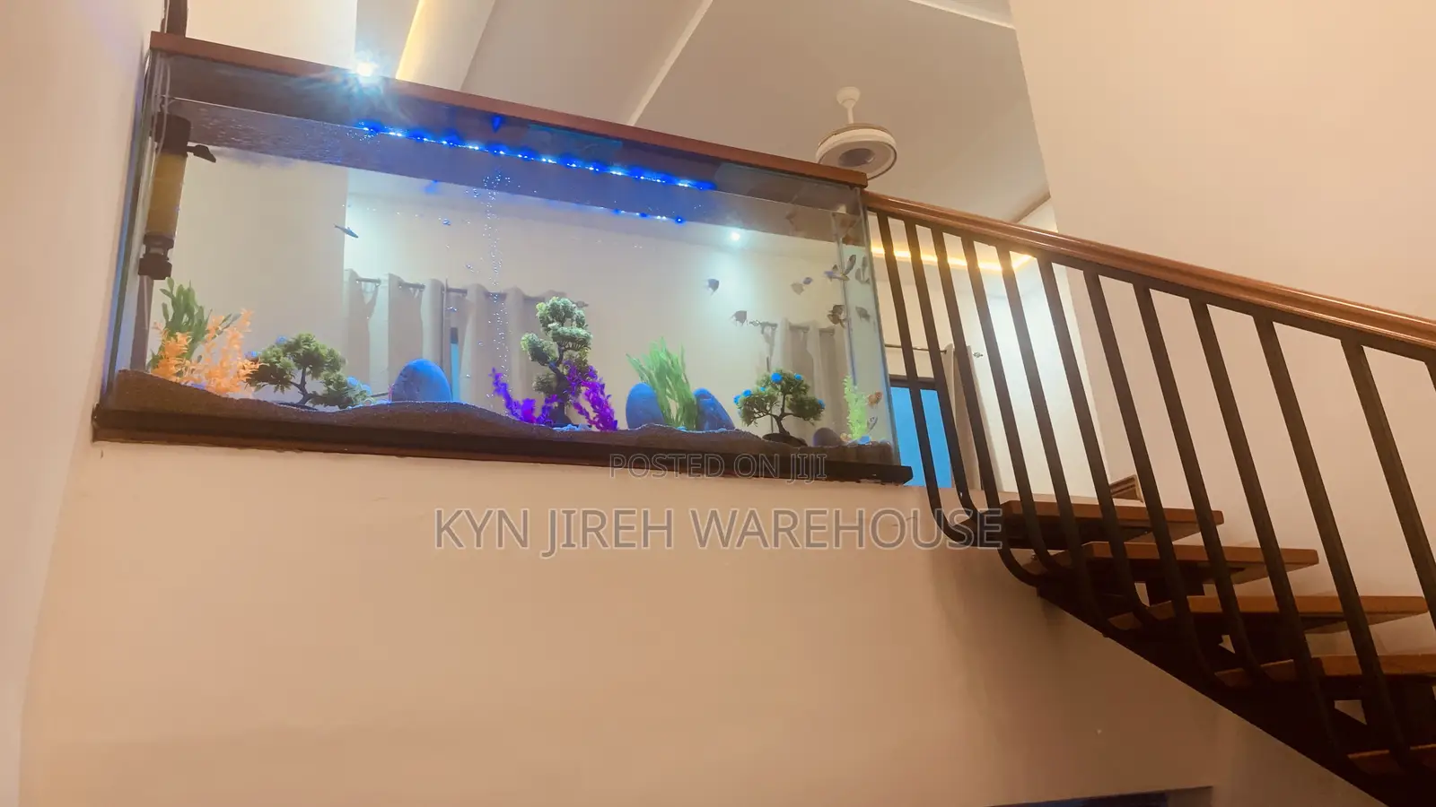 Staircase View Aquarium With 15 Fishes