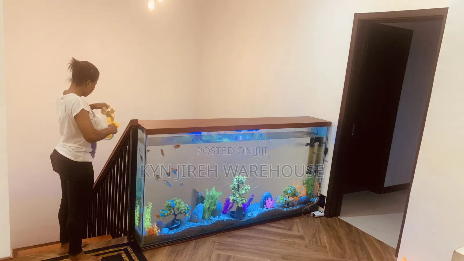 Staircase View Aquarium With 15 Fishes