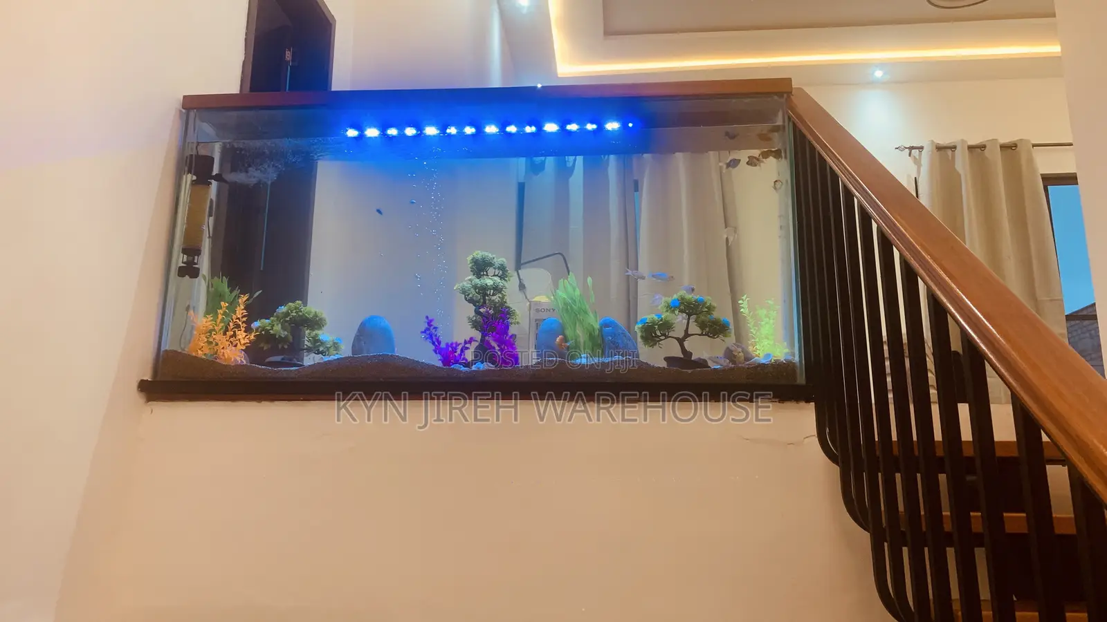 Staircase View Aquarium With 15 Fishes