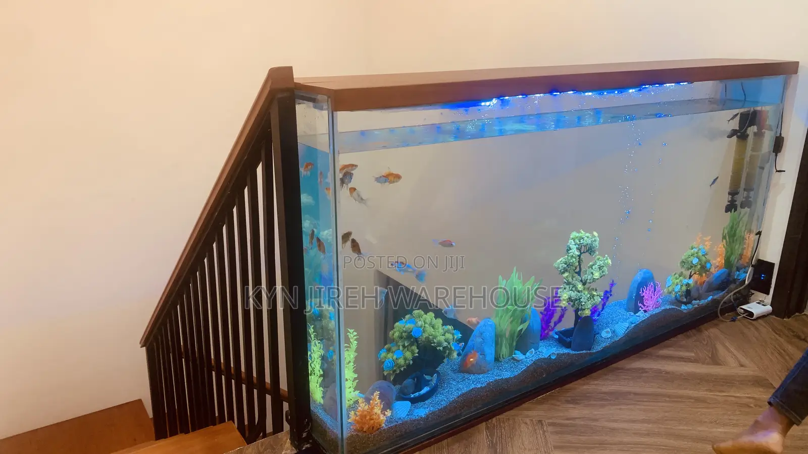 Staircase View Aquarium With 15 Fishes