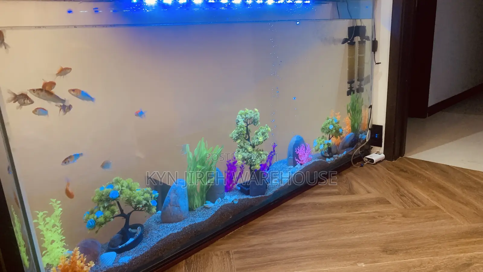 Staircase View Aquarium With 15 Fishes
