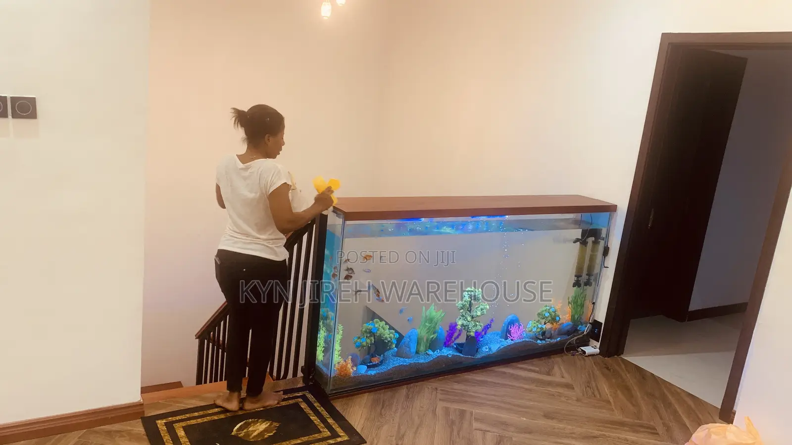 Staircase View Aquarium With 15 Fishes