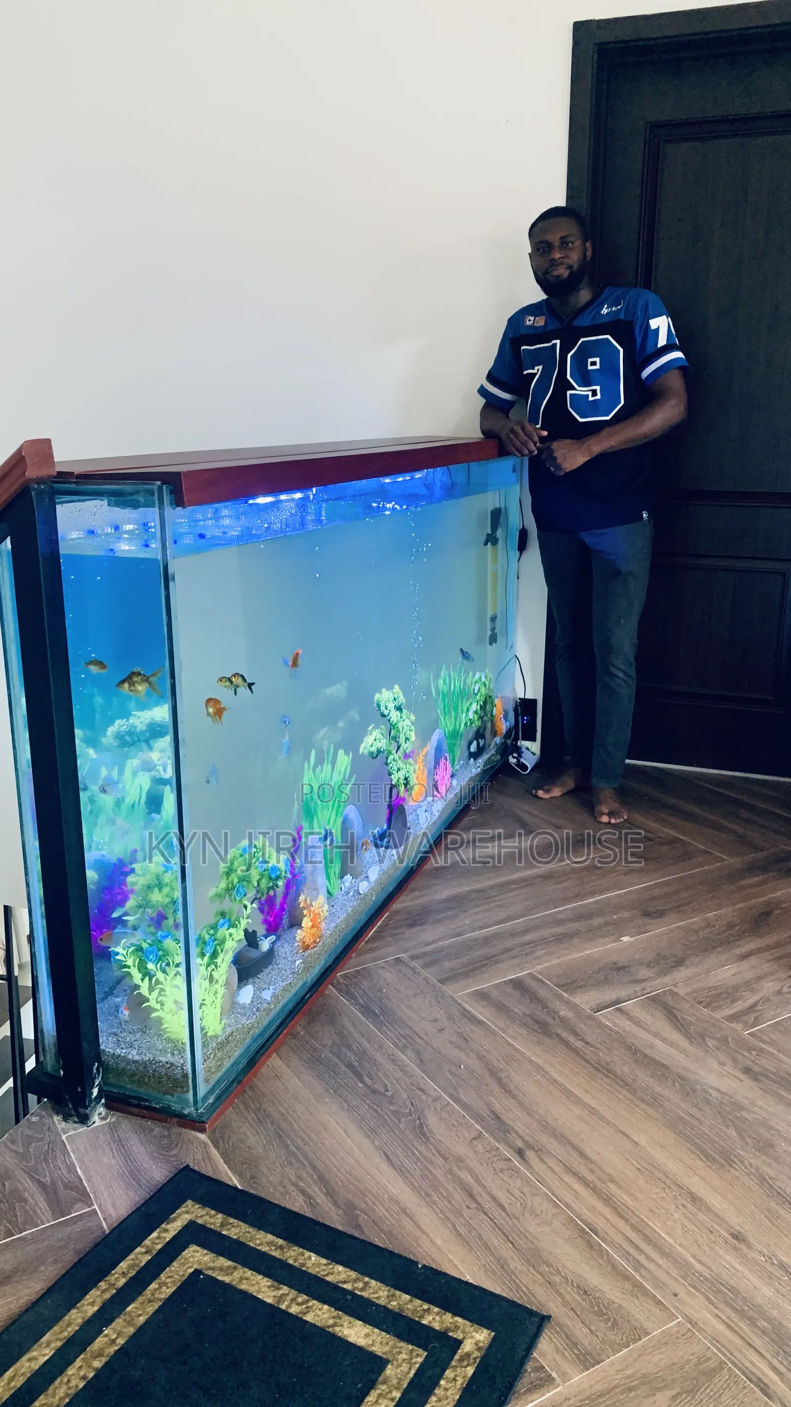 Staircase View Aquarium With 15 Fishes