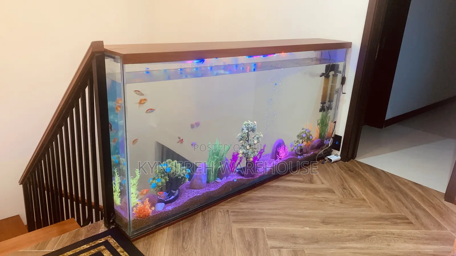 Staircase View Aquarium With 15 Fishes