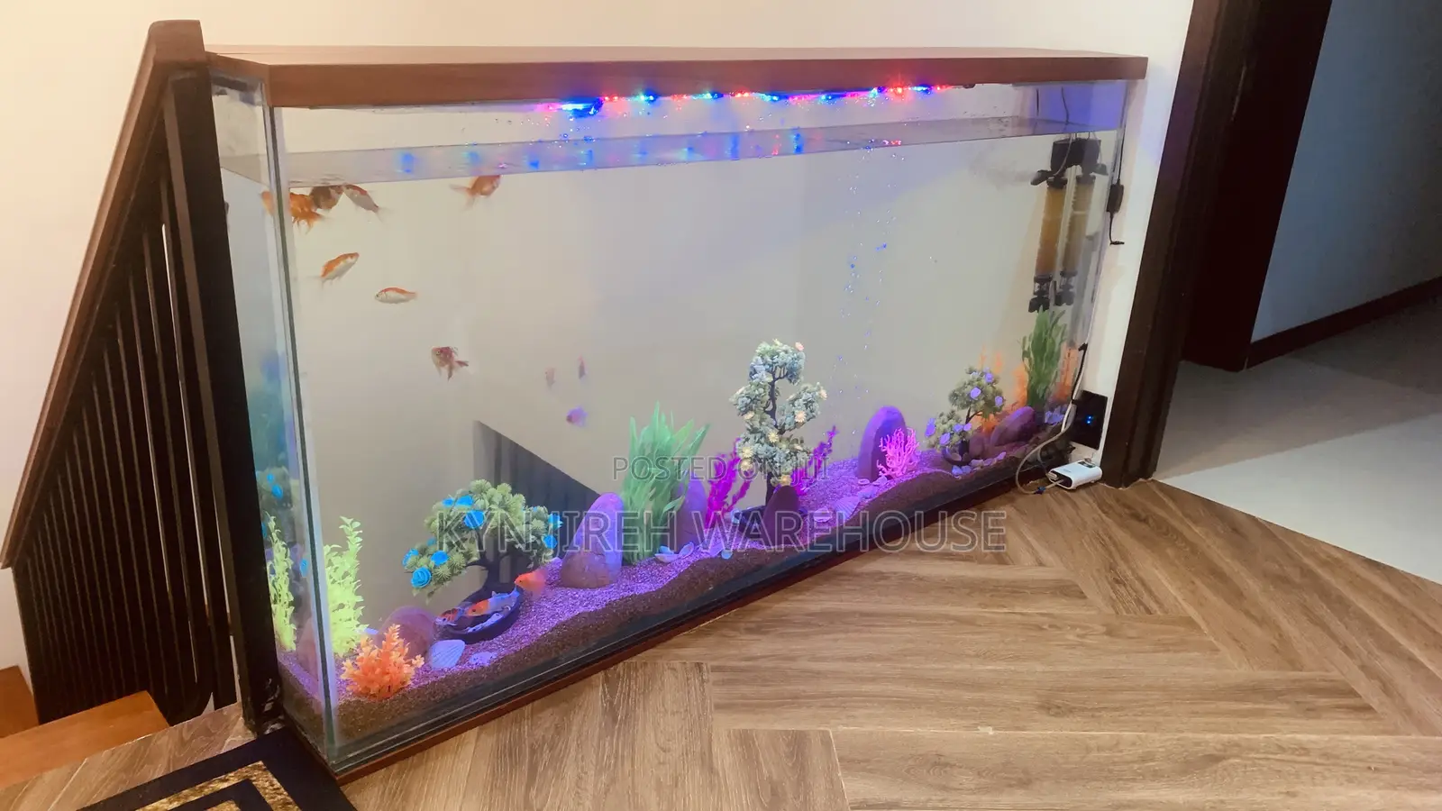 Staircase View Aquarium With 15 Fishes