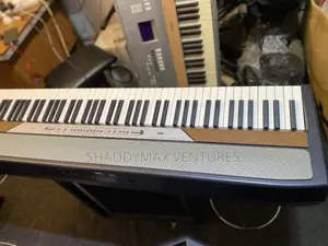Korg SP 250 Stage Piano