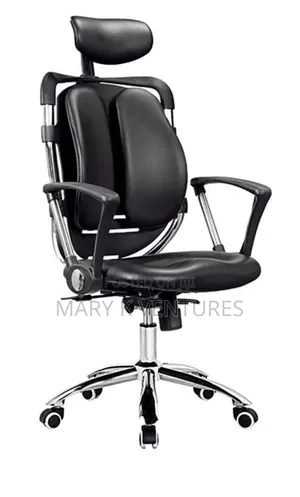 Ergonomic Chair