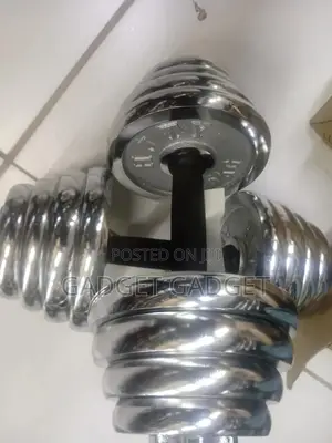 25kg Chrome Dumbbell