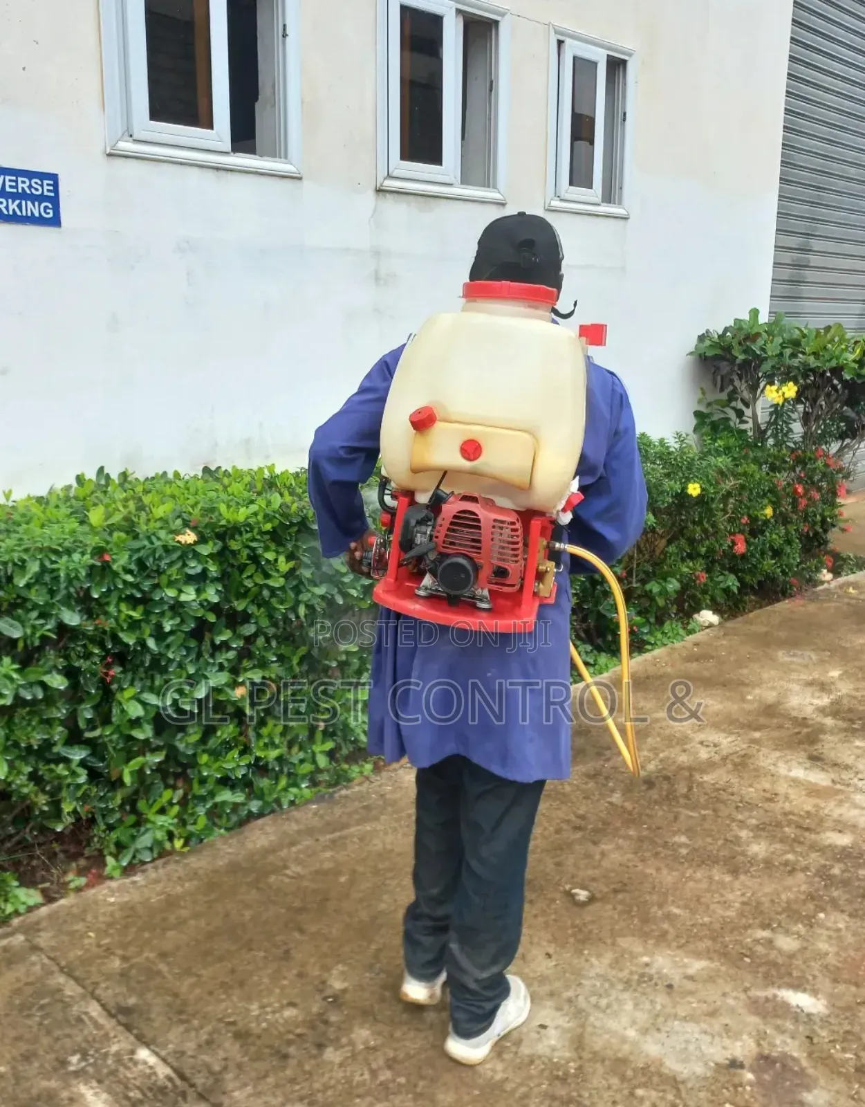 Fumigation (Pest Control) Reptiles Snake