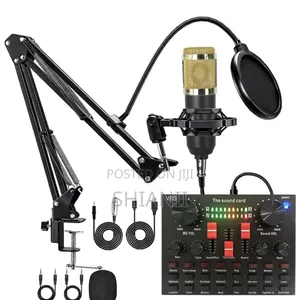 Professional Condenser With Sound Card Microphone