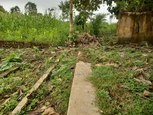 Gold Land for Sale