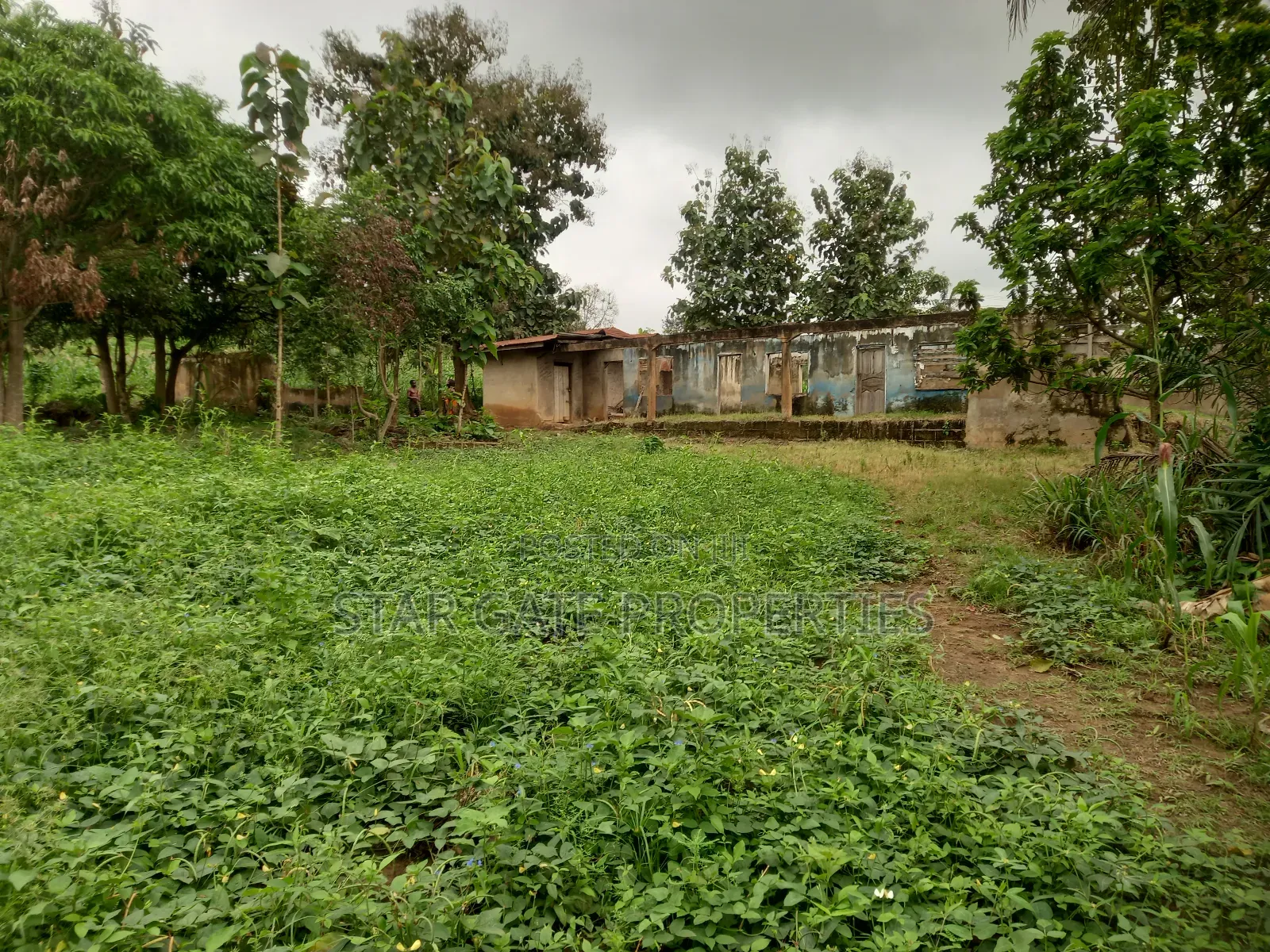 Gold Land for Sale