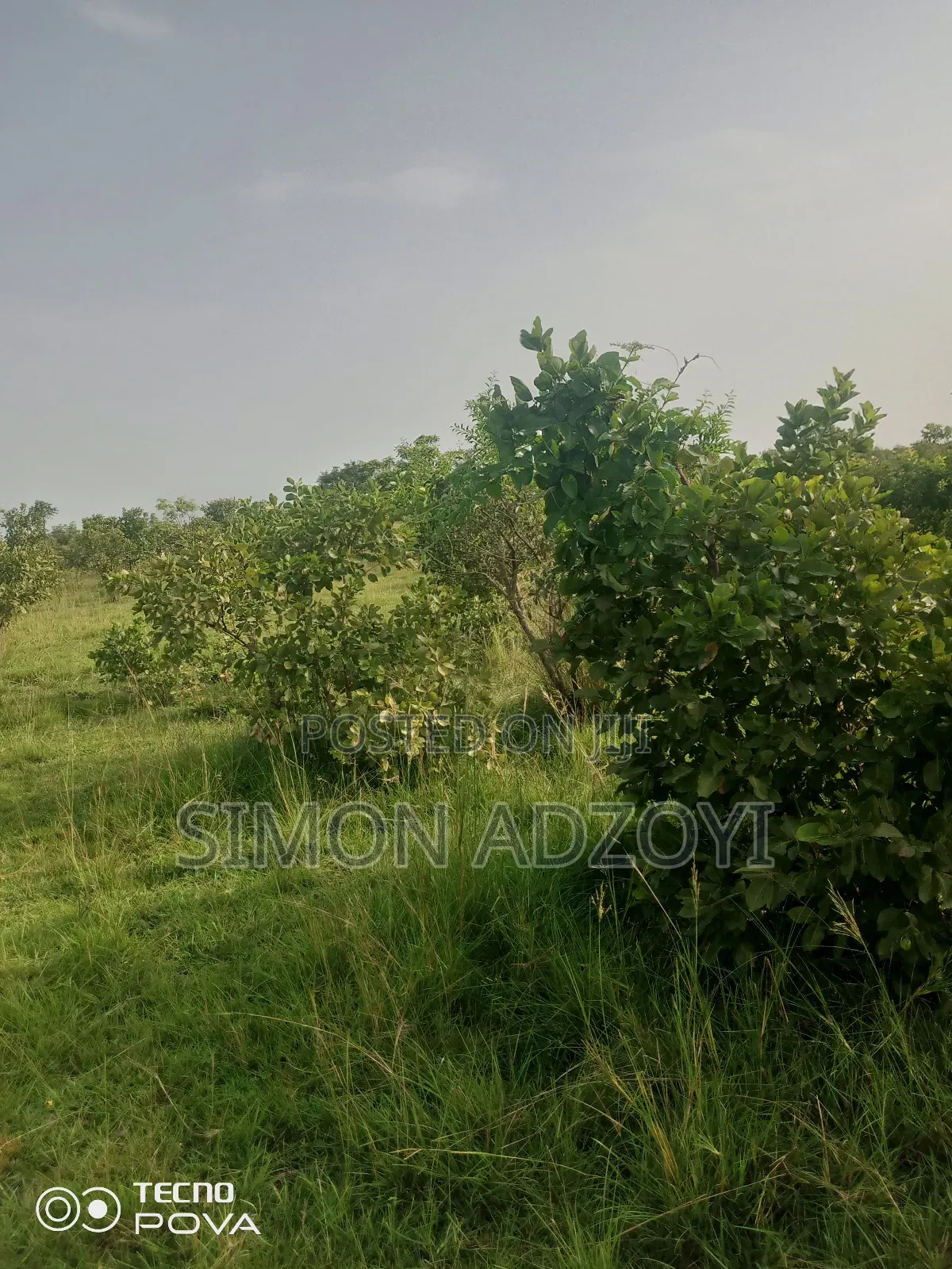 10,000 Acres Farm Land for Sale