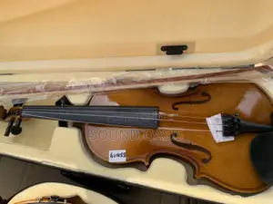 4/4 Full Size Violin With Complete Accessories(Wholesale)
