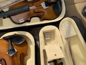4/4 Full Size Violin With Complete Accessories(Wholesale)