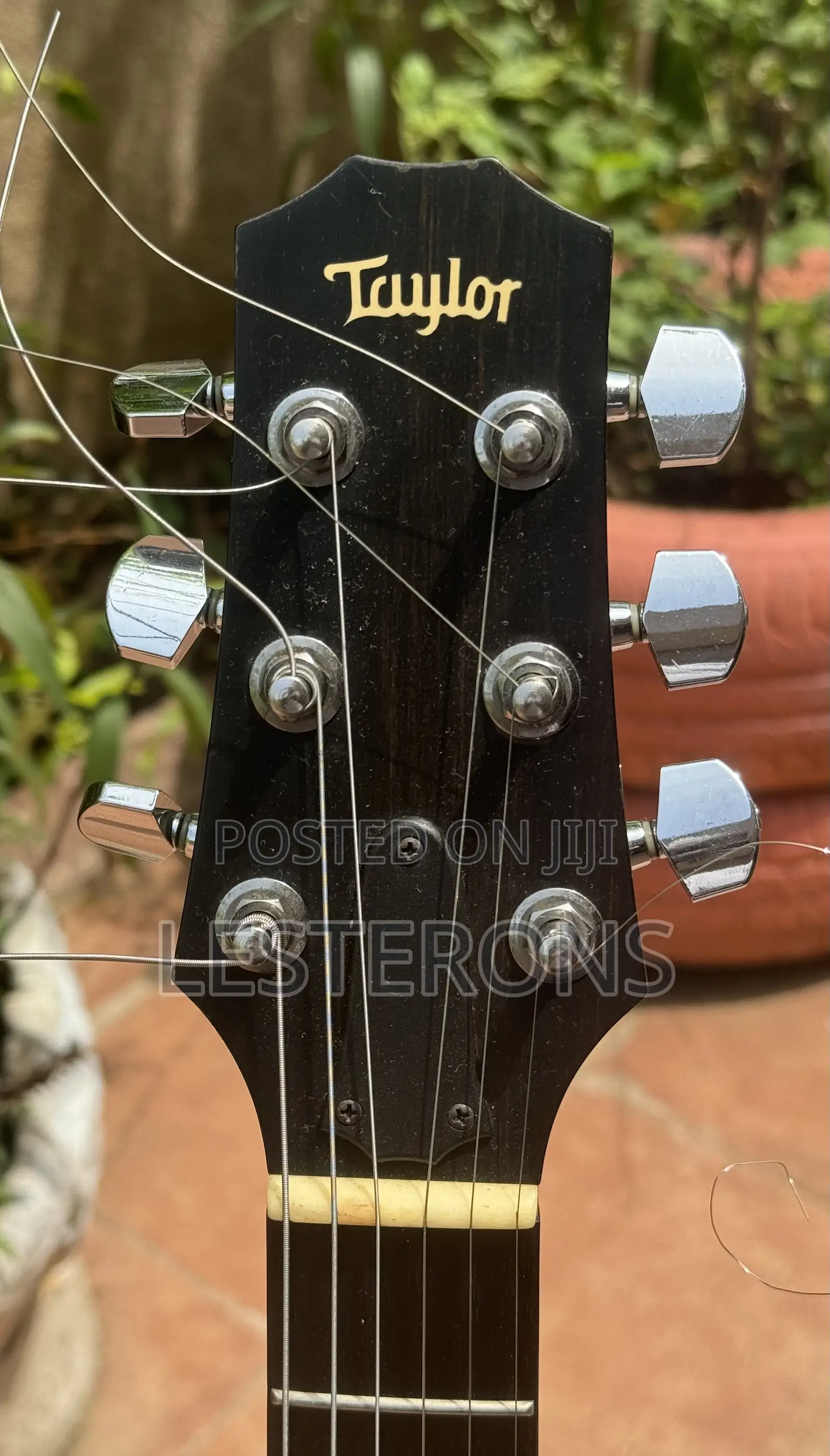 Taylor SB1-S Guitar