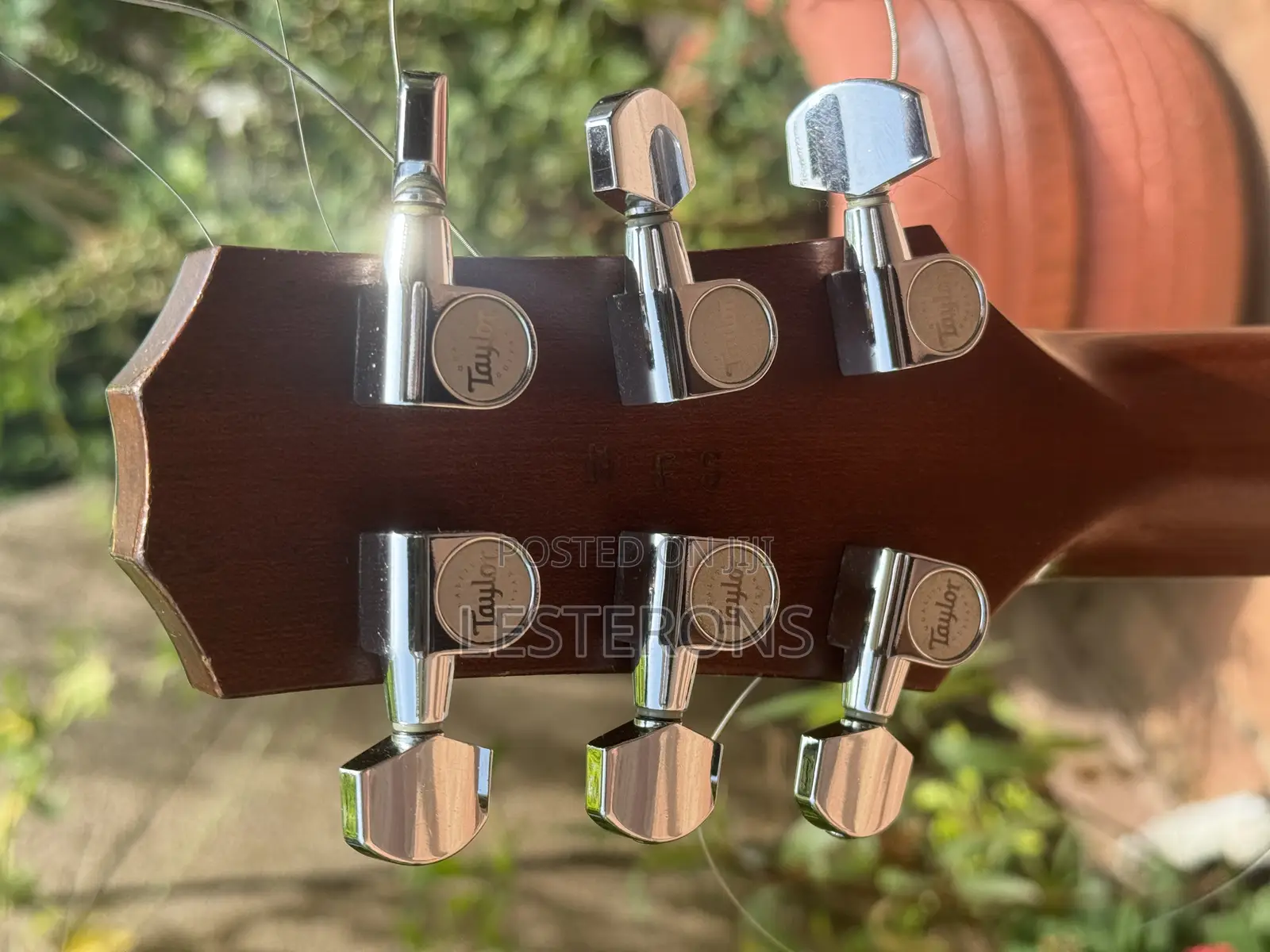 Taylor SB1-S Guitar