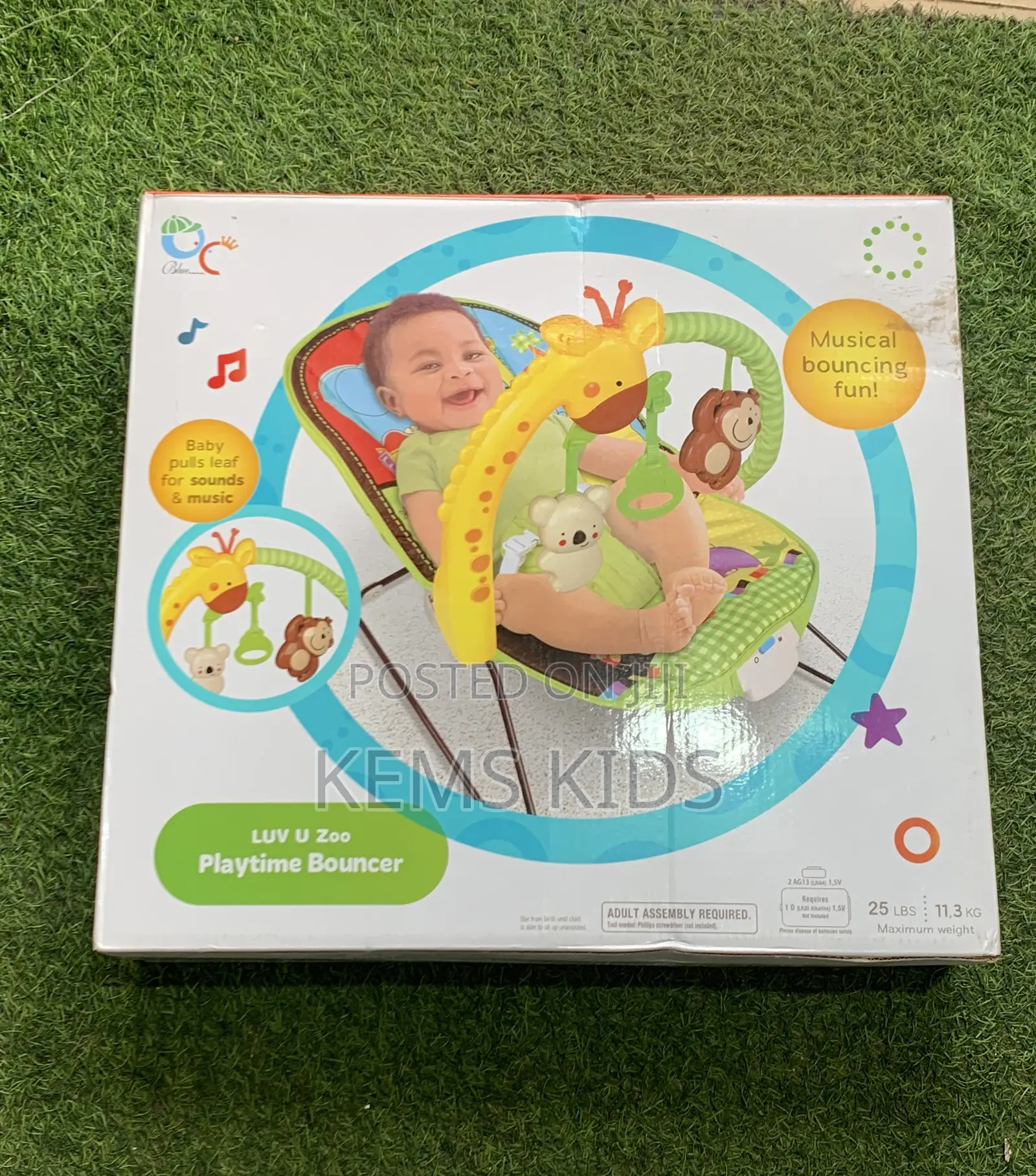 Playtime Bouncer